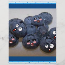 blueberries flyer design