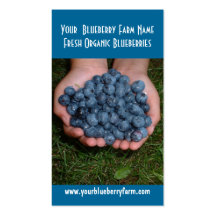 Blueberries for you to eat! business cards