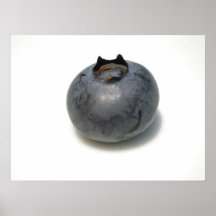 Blueberries I have Known 13 Print