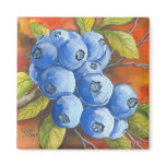 Blueberries magnets