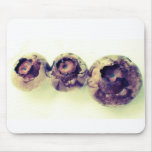 Blueberries mousepads