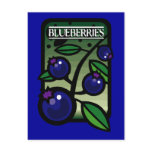 Blueberries postcards