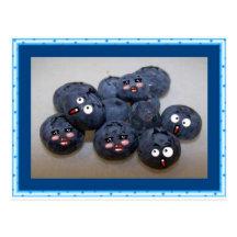 blueberries postcard