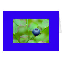 Blueberry Card