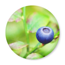 Blueberry Fridge Magnet
