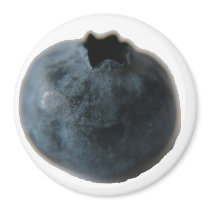 Blueberry magnet