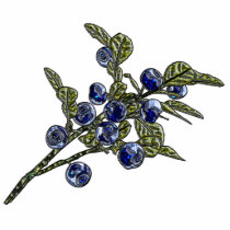 Blueberry Magnet Photo Cut Outs