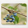 Blueberry Mousepads