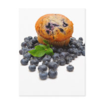 Blueberry Muffin Post Card