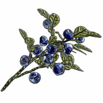 Blueberry Photo Cutouts
