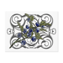 Blueberry Postcards