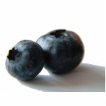 Blueberry sculpture photo sculptures
