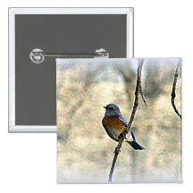Bluebird of Happiness