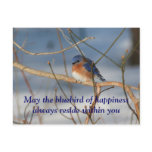 Bluebird Of Happiness Affirmation Nature Postcard