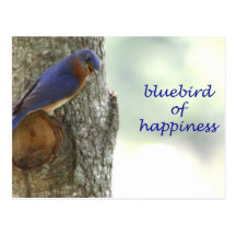 Bluebird of Happiness Post Cards