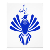 Bluebird Photo