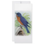 Bluebird rack cards
