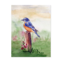 Bluebird Song Postcard
