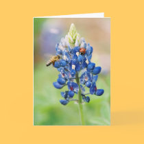 Bluebonnet Buddies - Greeting & Note Cards cards