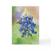 Bluebonnet Buddies - Greeting & Note Cards