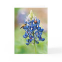 Bluebonnet Buddies - Greeting & Note Cards