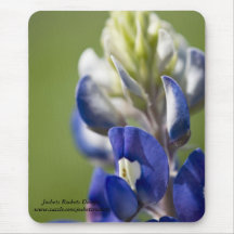 Bluebonnet Mouse Pad