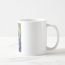 Bluebonnet Mug
