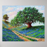 "Bluebonnet Road"  Print