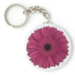 BlueEye Keychains