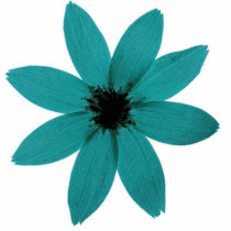 blueflower acrylic cut outs