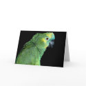 Bluefront Amazon Parrot Notecard