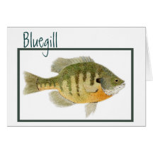 Bluegill card