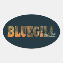 Bluegill Fishing Oval Stickers