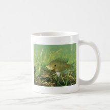 Bluegill Mug