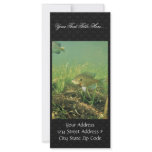 Bluegill Rack Card Design