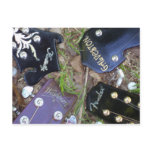 Bluegrass Postcard