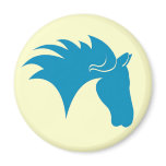 BlueHorse magnets