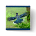 Bluejay in Flight Button