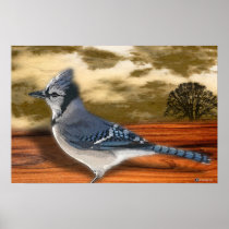 BLUEJAY
