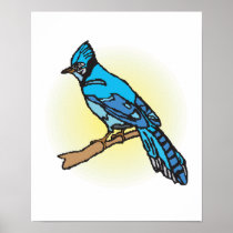 bluejay poster