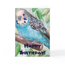 BlueParakeet Greeting Cards