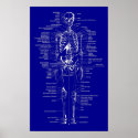 Blueprint Style skeleton