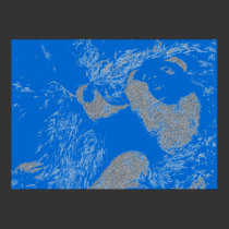 Blues Bear posters