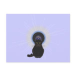 Blues Cat Postcard