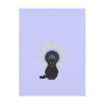 Blues Cat Postcard
