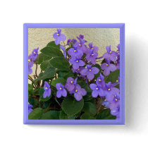 Bluest Blue Violets
