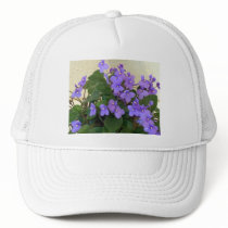 Bluest Blue Violets