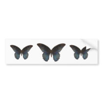 BlueSwallowTail Butterfly Bumper Sticker