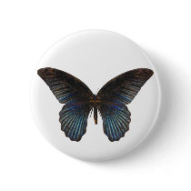BlueSwallowTail Butterfly Pin
