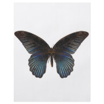 BlueSwallowTail Butterfly Flyer